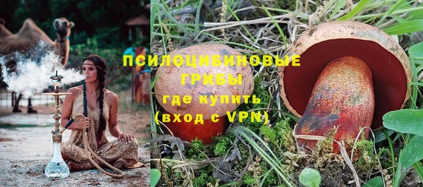 эйфоретик Алексин