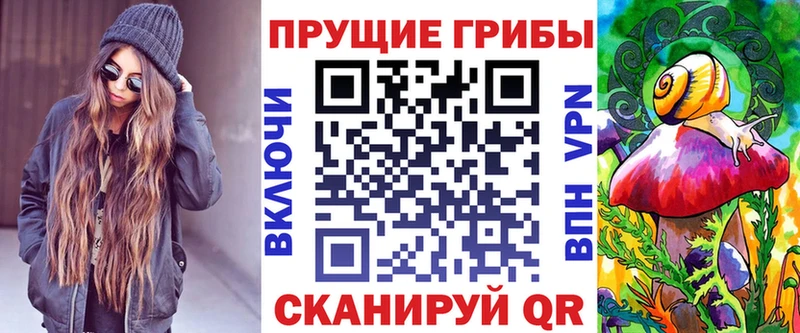 купить наркотик Ардон Галлюциногенные грибы Psilocybine cubensis